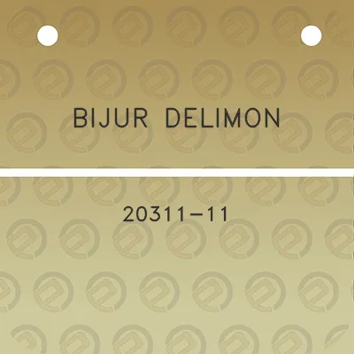 bijur-delimon-20311-11