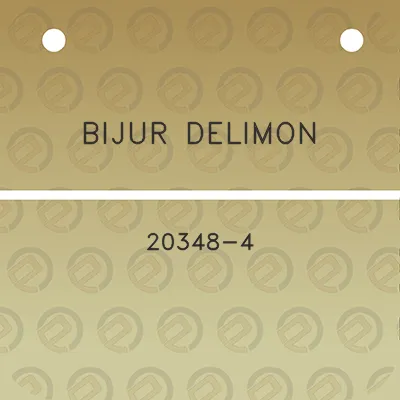 bijur-delimon-20348-4