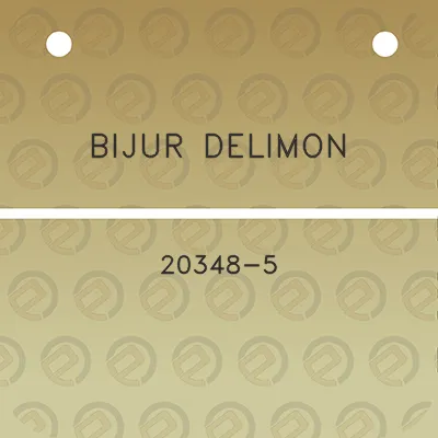 bijur-delimon-20348-5