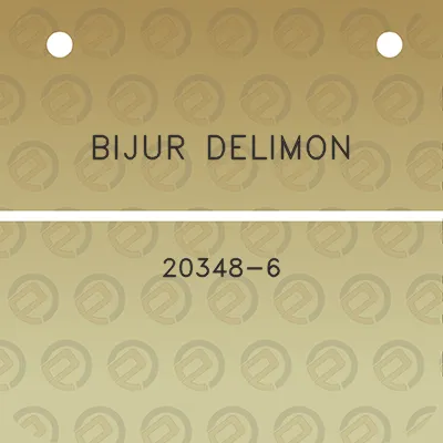 bijur-delimon-20348-6