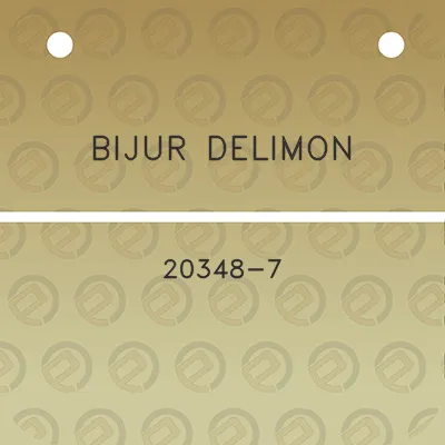 bijur-delimon-20348-7