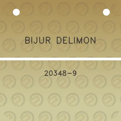 bijur-delimon-20348-9