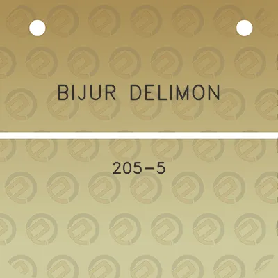 bijur-delimon-205-5