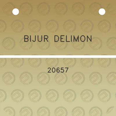 bijur-delimon-20657