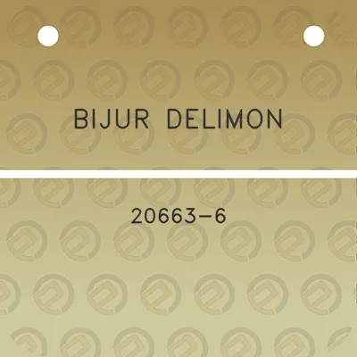 bijur-delimon-20663-6