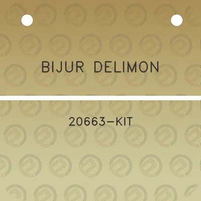 bijur-delimon-20663-kit