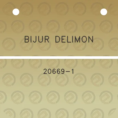 bijur-delimon-20669-1