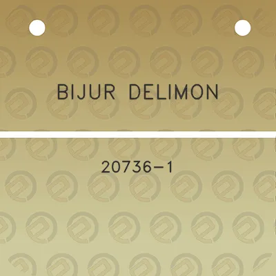 bijur-delimon-20736-1