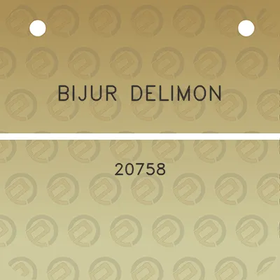 bijur-delimon-20758