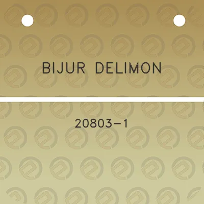 bijur-delimon-20803-1