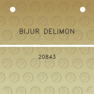 bijur-delimon-20843