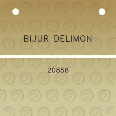 bijur-delimon-20858