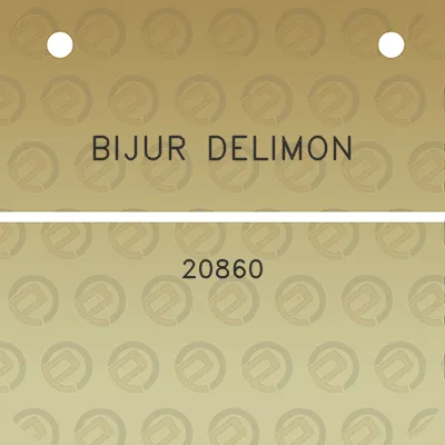 bijur-delimon-20860