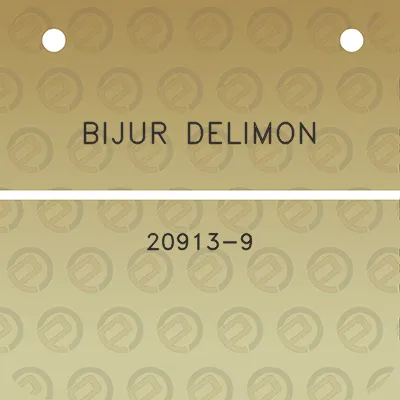 bijur-delimon-20913-9