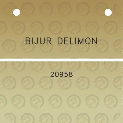 bijur-delimon-20958