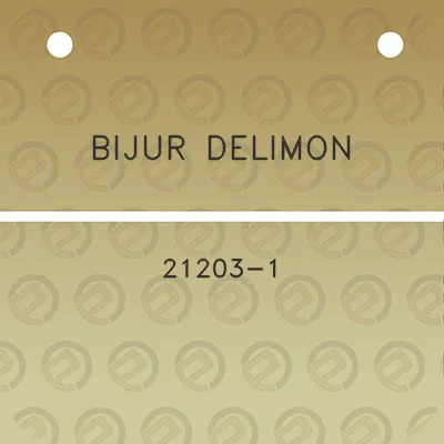 bijur-delimon-21203-1