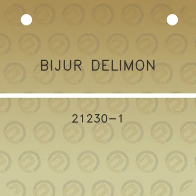 bijur-delimon-21230-1