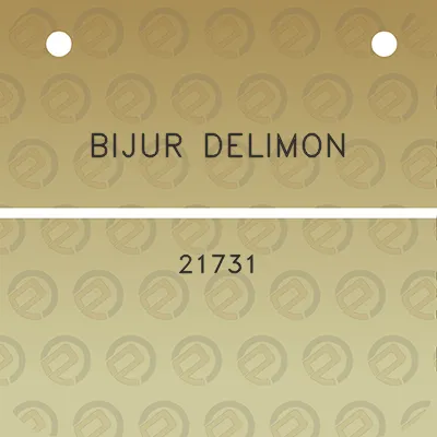 bijur-delimon-21731