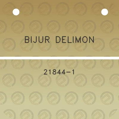 bijur-delimon-21844-1