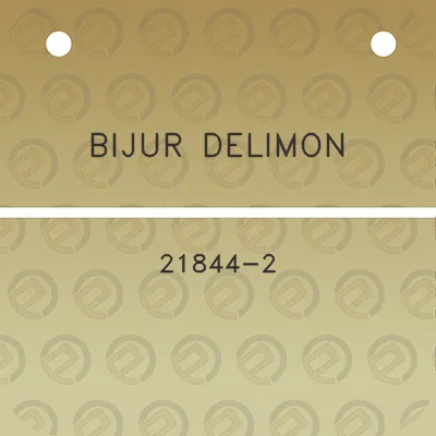 bijur-delimon-21844-2