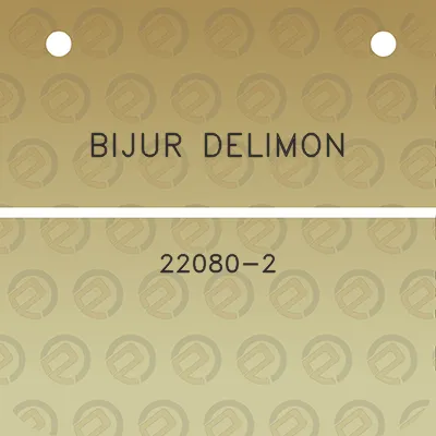 bijur-delimon-22080-2