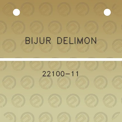 bijur-delimon-22100-11