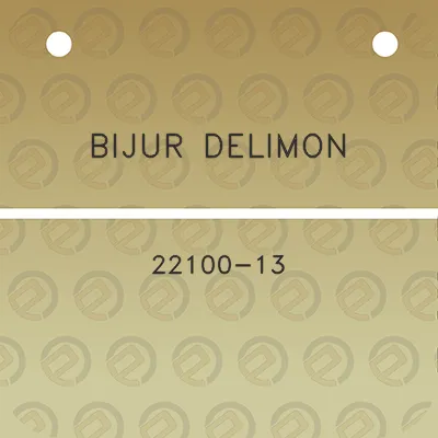 bijur-delimon-22100-13