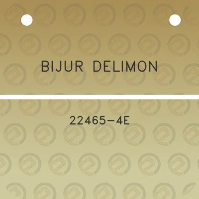 bijur-delimon-22465-4e