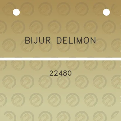 bijur-delimon-22480