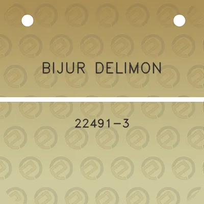 bijur-delimon-22491-3