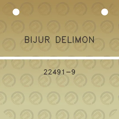 bijur-delimon-22491-9