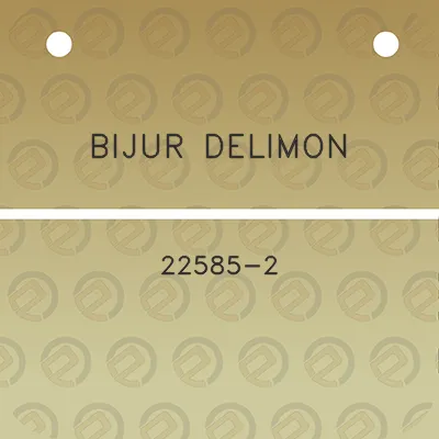 bijur-delimon-22585-2