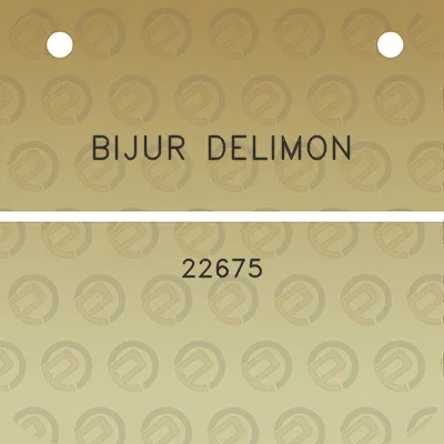 bijur-delimon-22675