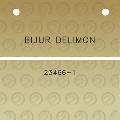 bijur-delimon-23466-1