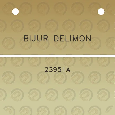 bijur-delimon-23951a