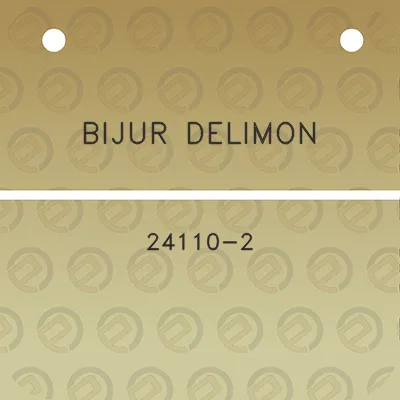 bijur-delimon-24110-2