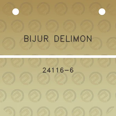 bijur-delimon-24116-6