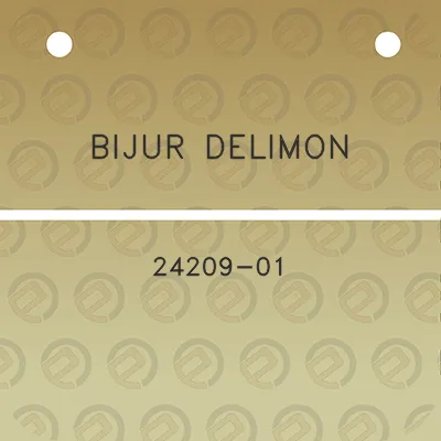 bijur-delimon-24209-01