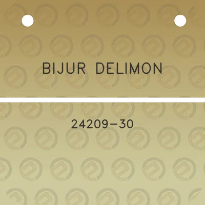 bijur-delimon-24209-30