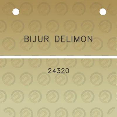 bijur-delimon-24320