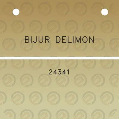 bijur-delimon-24341