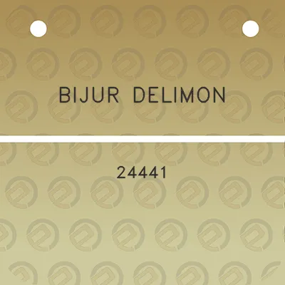 bijur-delimon-24441