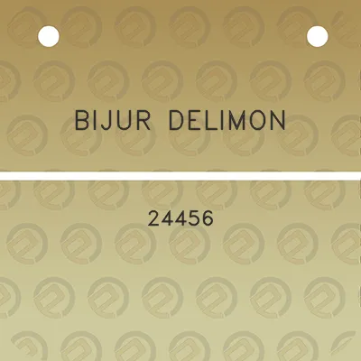 bijur-delimon-24456