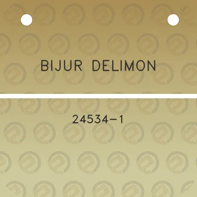 bijur-delimon-24534-1