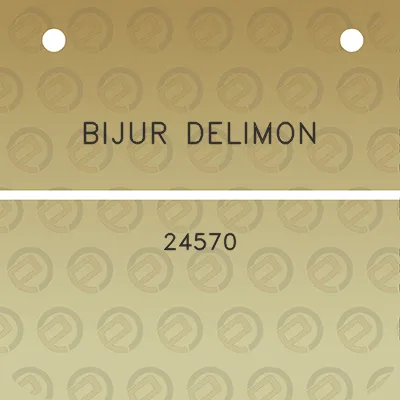 bijur-delimon-24570