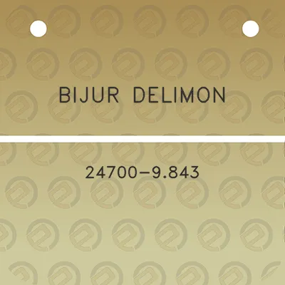 bijur-delimon-24700-9843