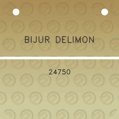 bijur-delimon-24750