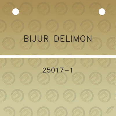 bijur-delimon-25017-1