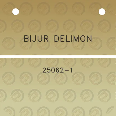 bijur-delimon-25062-1