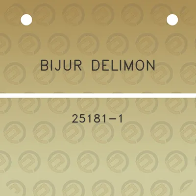 bijur-delimon-25181-1